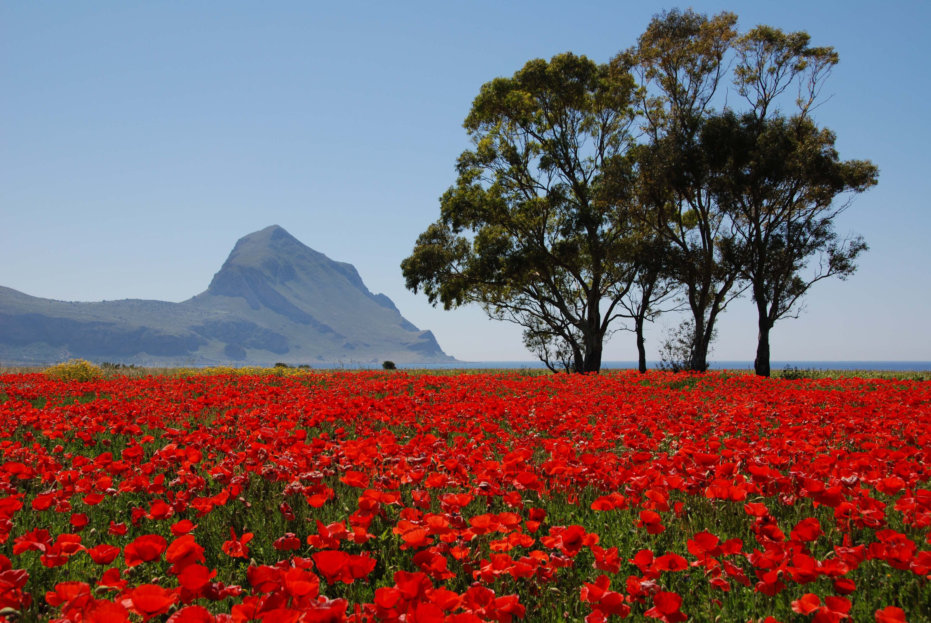  Il Giardino della Nonna Bed & breakfast - Castelluzzo a San Vito Lo Capo 
